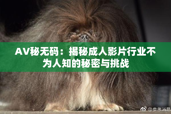 AV秘无码：揭秘成人影片行业不为人知的秘密与挑战