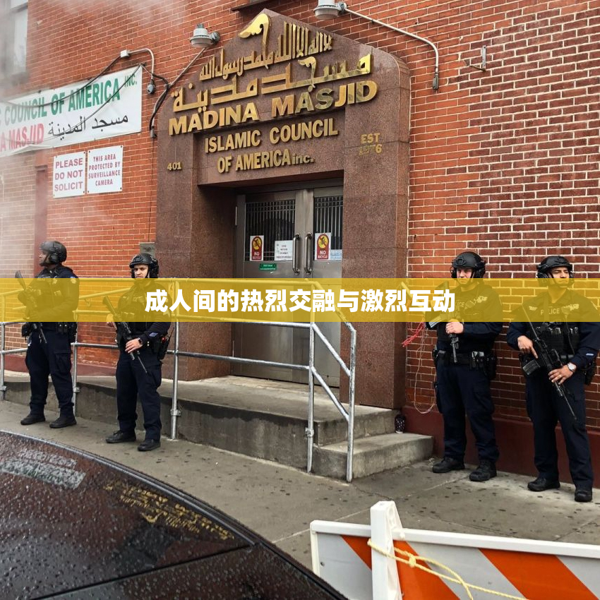 成人间的热烈交融与激烈互动