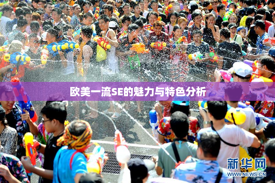 欧美一流SE的魅力与特色分析