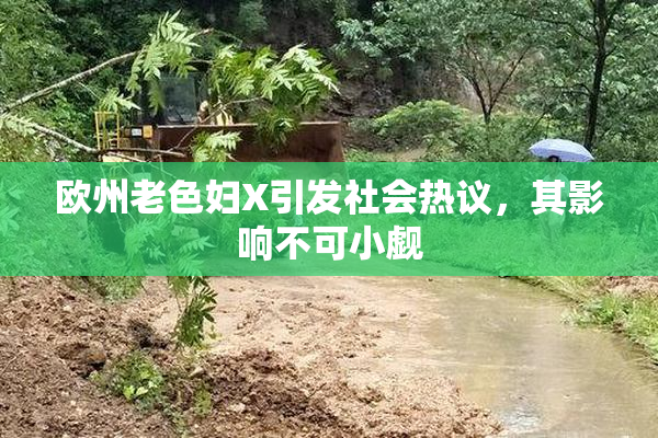 欧州老色妇X引发社会热议，其影响不可小觑