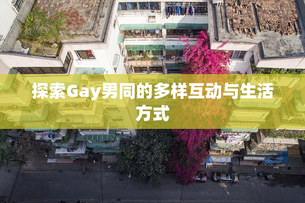 探索Gay男同的多样互动与生活方式
