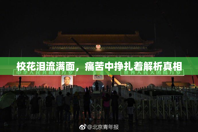 校花泪流满面，痛苦中挣扎着解析真相