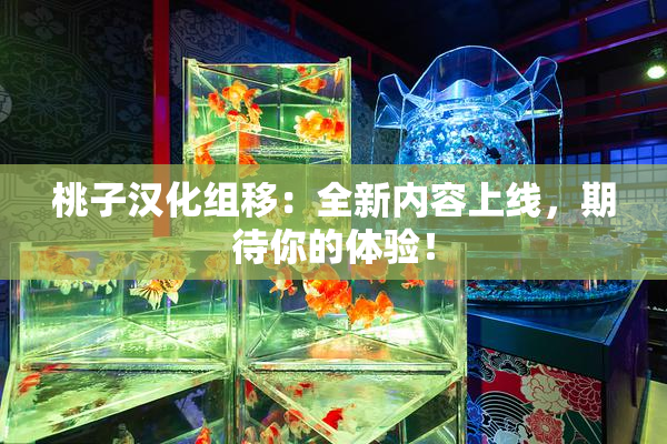 桃子汉化组移：全新内容上线，期待你的体验！