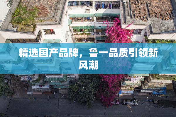 精选国产品牌，鲁一品质引领新风潮