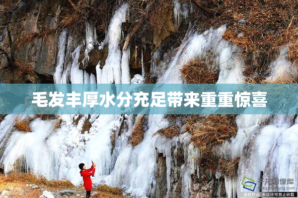 毛发丰厚水分充足带来重重惊喜