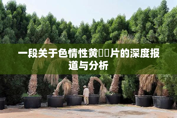 一段关于色情性黄❌‌片的深度报道与分析