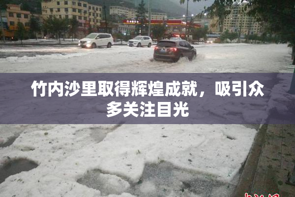 竹内沙里取得辉煌成就，吸引众多关注目光