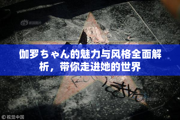 伽罗ちゃん的魅力与风格全面解析，带你走进她的世界