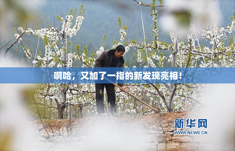 啊哈，又加了一指的新发现亮相！