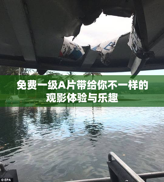 免费一级A片带给你不一样的观影体验与乐趣
