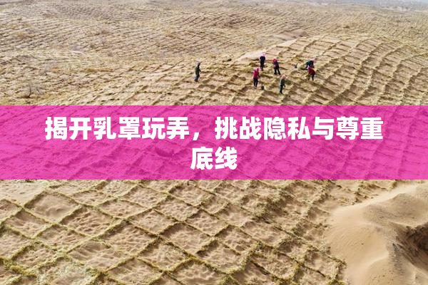 揭开乳罩玩弄，挑战隐私与尊重底线