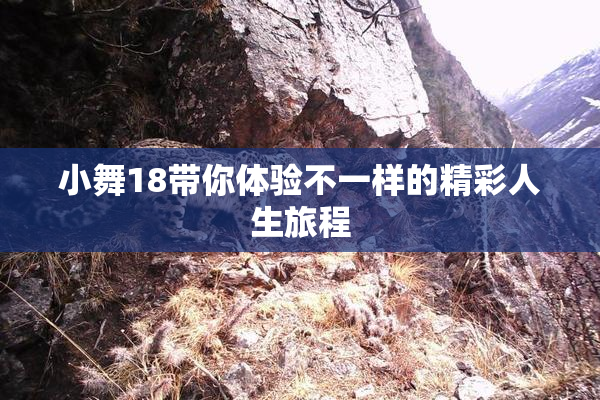 小舞18带你体验不一样的精彩人生旅程