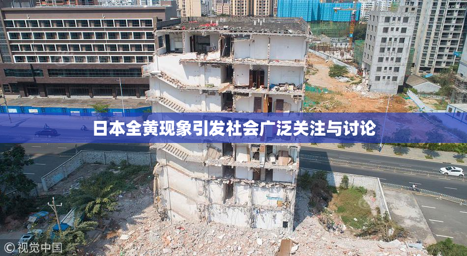 日本全黄现象引发社会广泛关注与讨论
