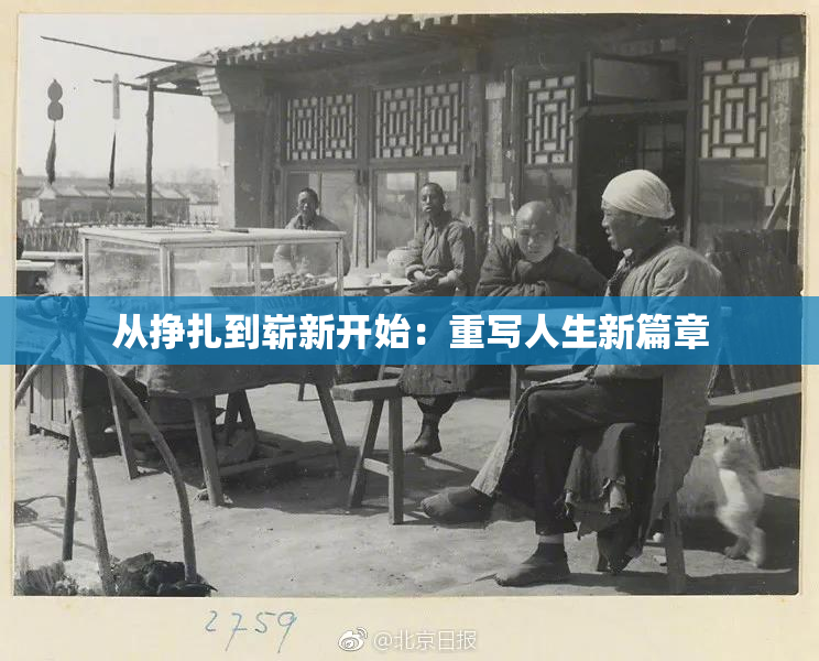 从挣扎到崭新开始：重写人生新篇章