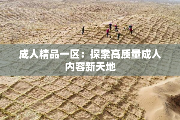 成人精品一区：探索高质量成人内容新天地