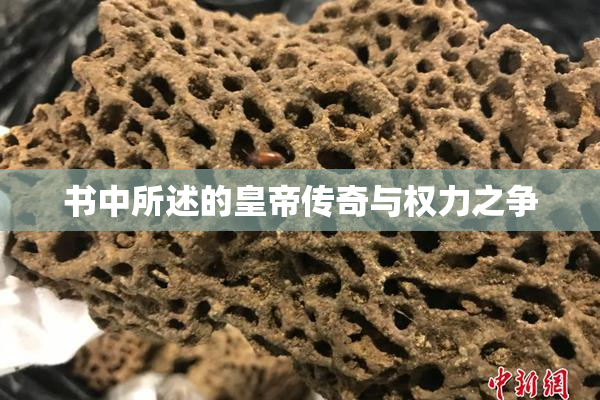 书中所述的皇帝传奇与权力之争