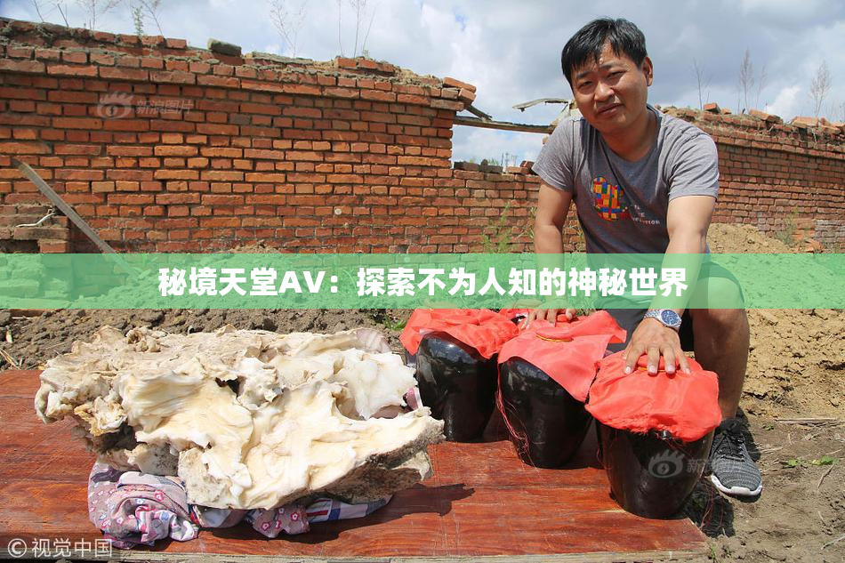 秘境天堂AV：探索不为人知的神秘世界