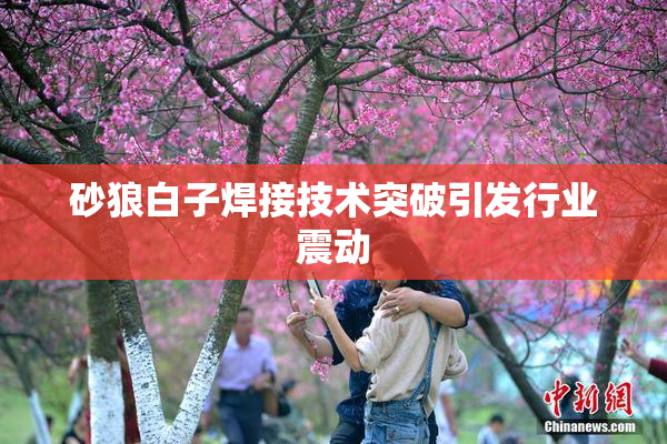 砂狼白子焊接技术突破引发行业震动