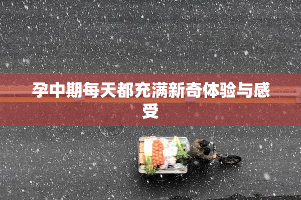 孕中期每天都充满新奇体验与感受