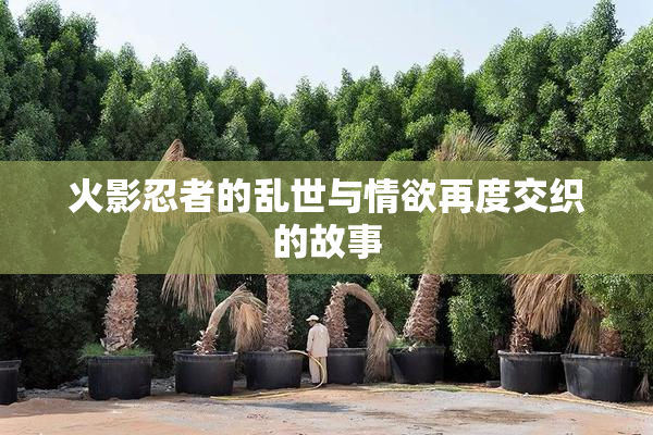 火影忍者的乱世与情欲再度交织的故事