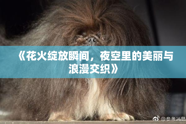 《花火绽放瞬间，夜空里的美丽与浪漫交织》