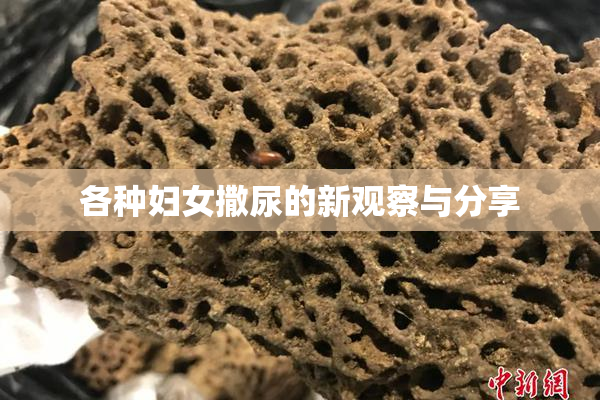 各种妇女撒尿的新观察与分享
