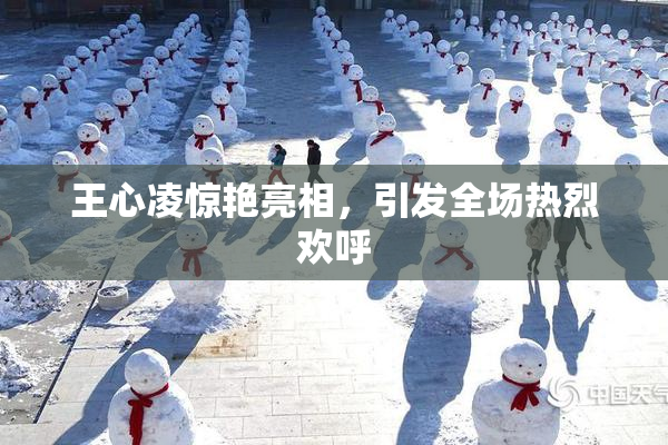 王心凌惊艳亮相，引发全场热烈欢呼