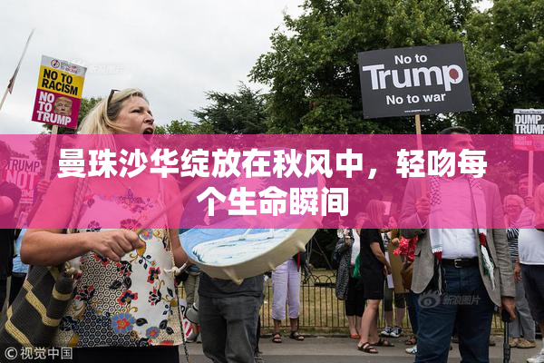 曼珠沙华绽放在秋风中，轻吻每个生命瞬间
