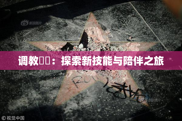 调教妺妺：探索新技能与陪伴之旅