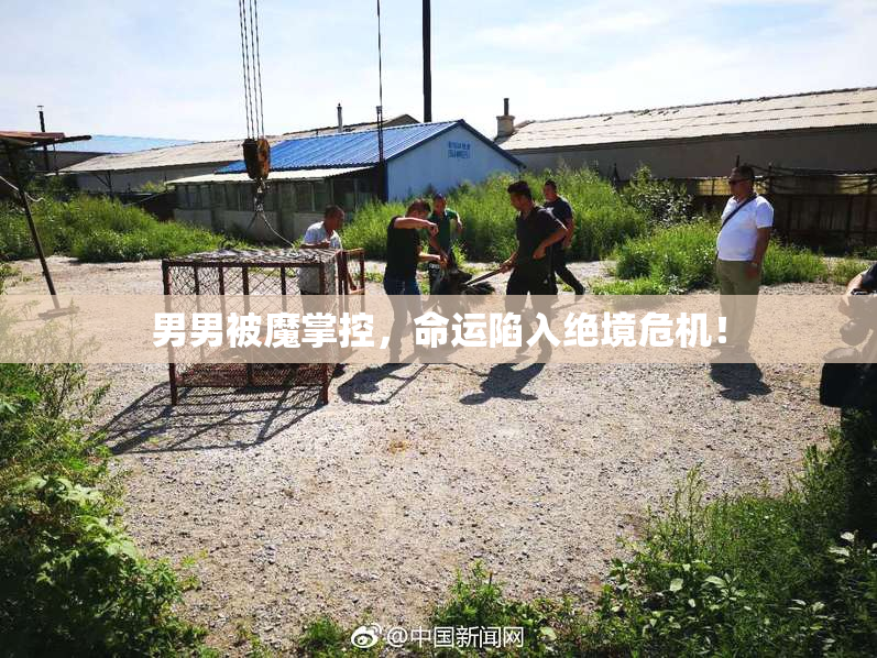 男男被魔掌控，命运陷入绝境危机！