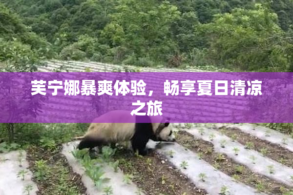 芙宁娜暴爽体验，畅享夏日清凉之旅