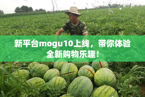 新平台mogu10上线，带你体验全新购物乐趣！