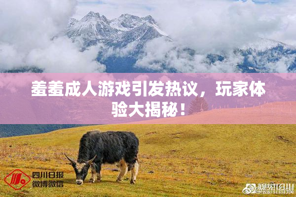 羞羞成人游戏引发热议，玩家体验大揭秘！