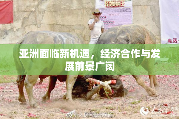 亚洲面临新机遇，经济合作与发展前景广阔
