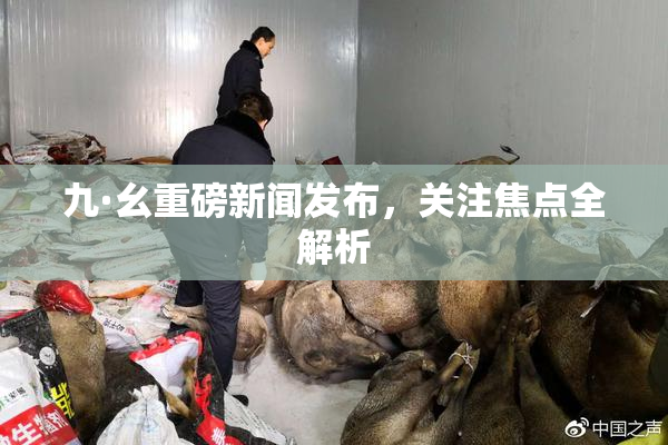 九·幺重磅新闻发布，关注焦点全解析