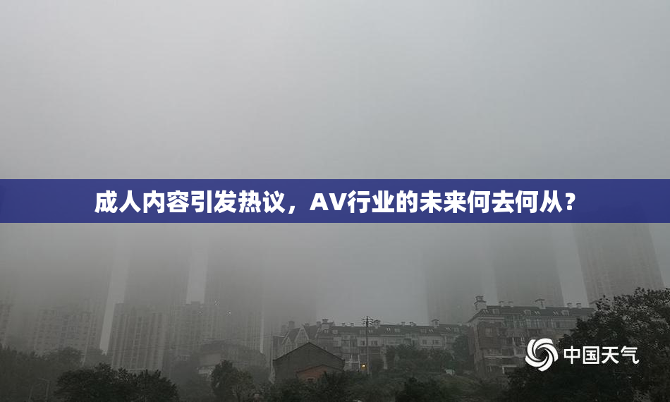 成人内容引发热议，AV行业的未来何去何从？