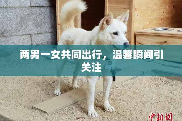 两男一女共同出行，温馨瞬间引关注