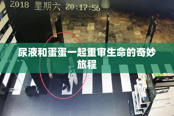 尿液和蛋蛋一起重审生命的奇妙旅程