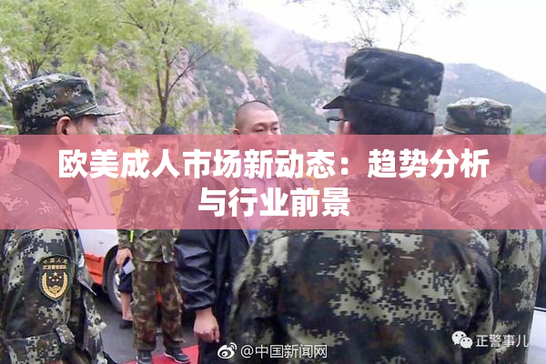 欧美成人市场新动态：趋势分析与行业前景