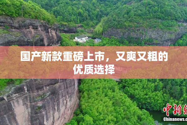 国产新款重磅上市，又爽又粗的优质选择