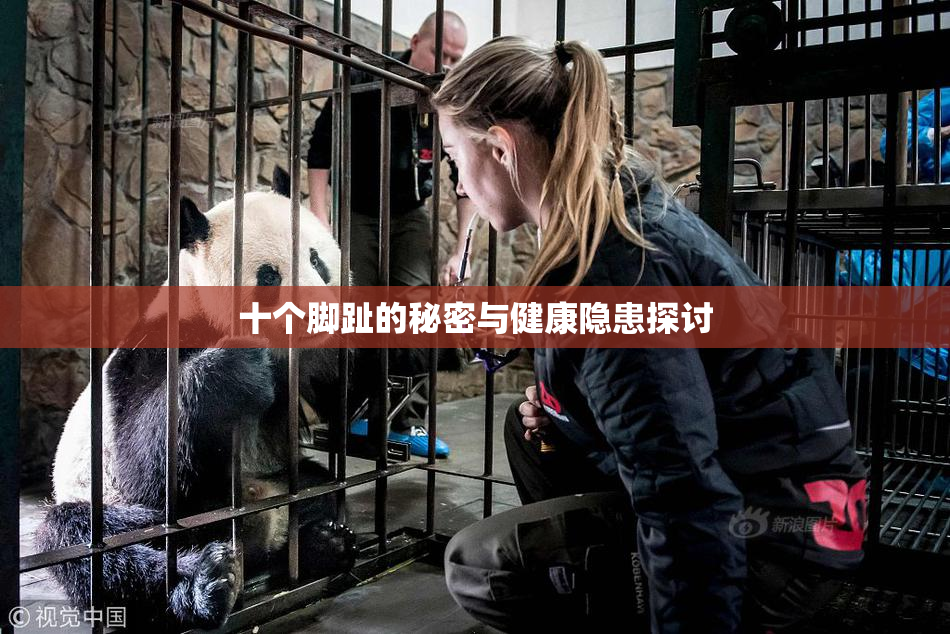 十个脚趾的秘密与健康隐患探讨