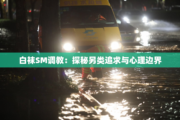 白袜SM调教：探秘另类追求与心理边界