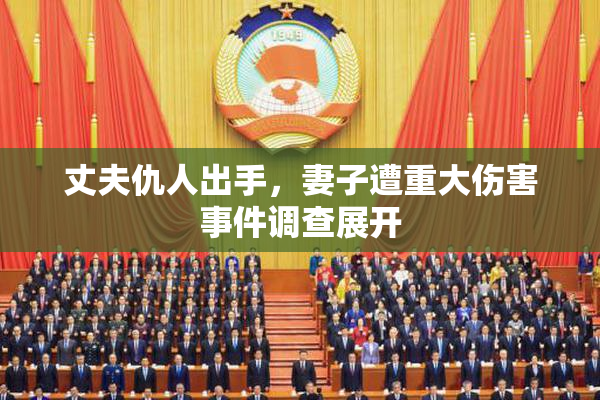 丈夫仇人出手，妻子遭重大伤害事件调查展开