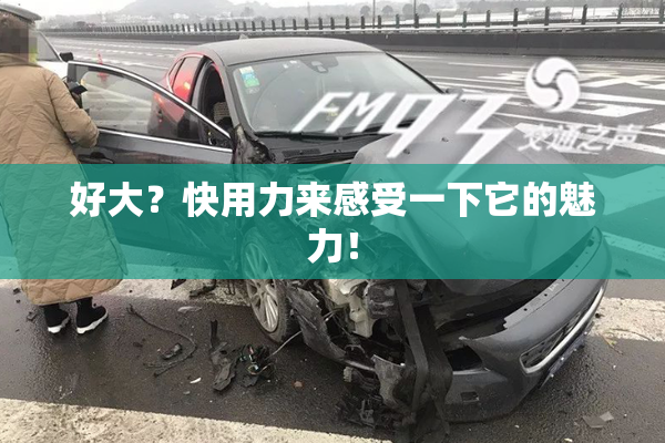 好大？快用力来感受一下它的魅力！