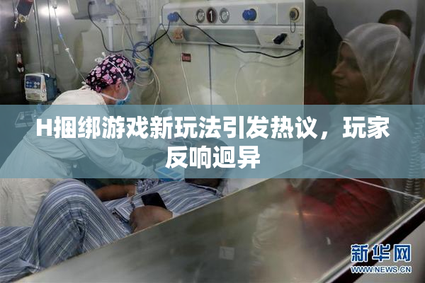 H捆绑游戏新玩法引发热议，玩家反响迥异