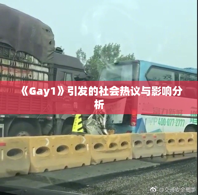 《Gay1》引发的社会热议与影响分析