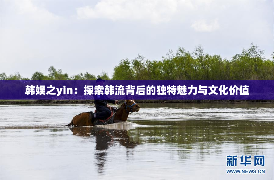 韩娱之yin：探索韩流背后的独特魅力与文化价值