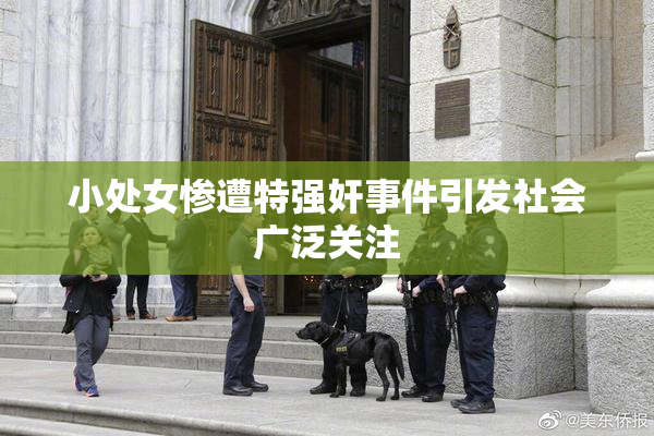 小处女惨遭特强奸事件引发社会广泛关注