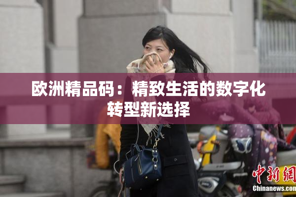 欧洲精品码：精致生活的数字化转型新选择