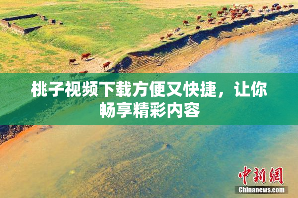 桃子视频下载方便又快捷，让你畅享精彩内容